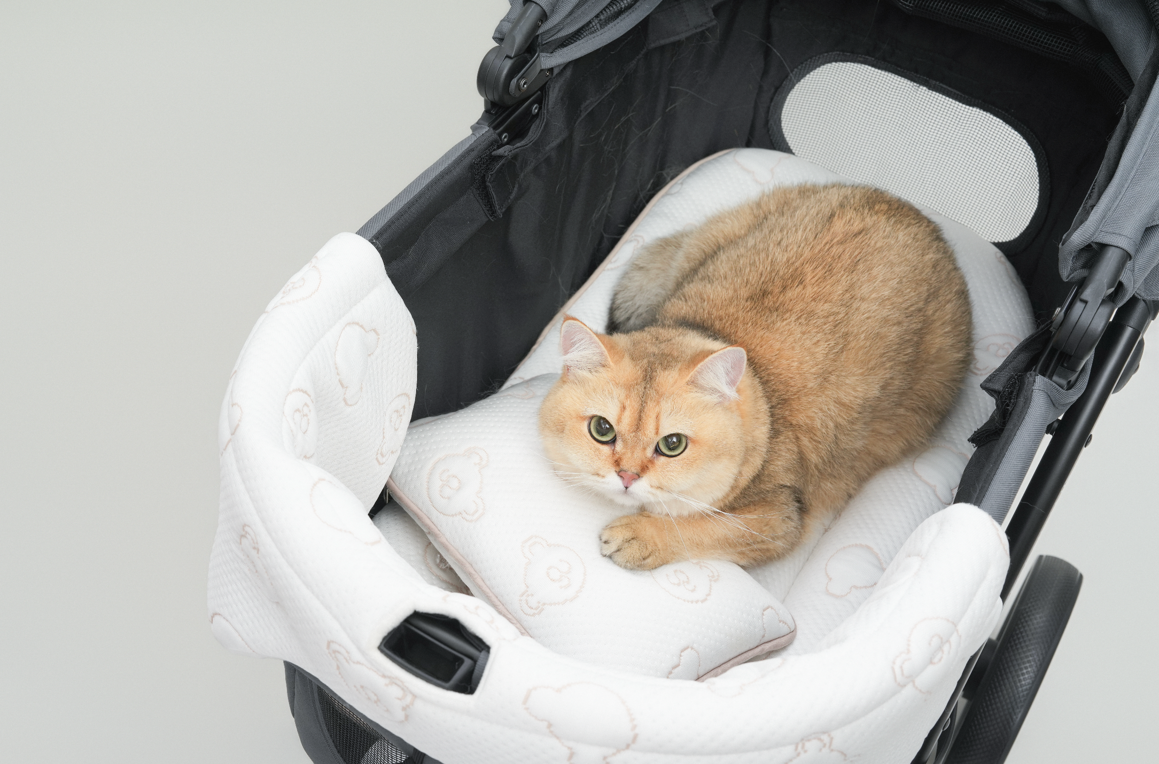 TeddyLand Ultimate cool stroller cushion