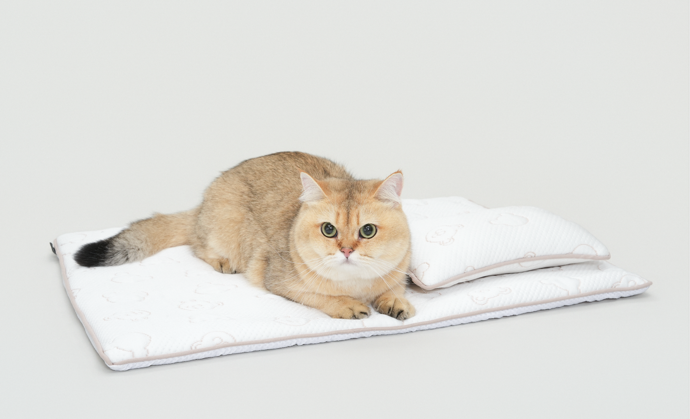 TeddyLand Ultimate cool mattress with pillow