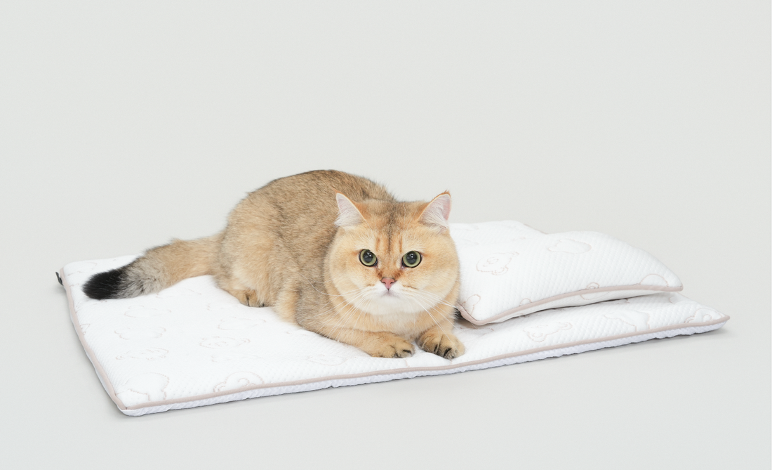 TeddyLand Ultimate cool mattress with pillow