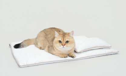 TeddyLand Ultimate cool mattress with pillow