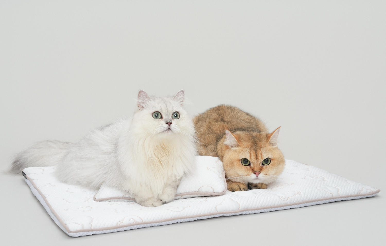 TeddyLand Ultimate cool mattress with pillow