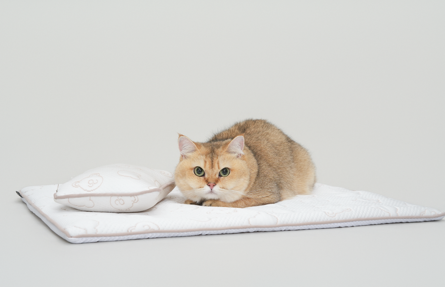 TeddyLand Ultimate cool mattress with pillow