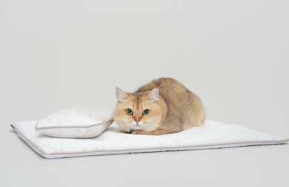 TeddyLand Ultimate cool mattress with pillow