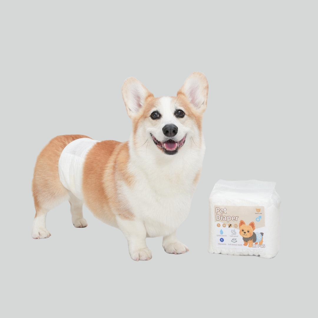 TeddyLand Pet Diaper (one-use)