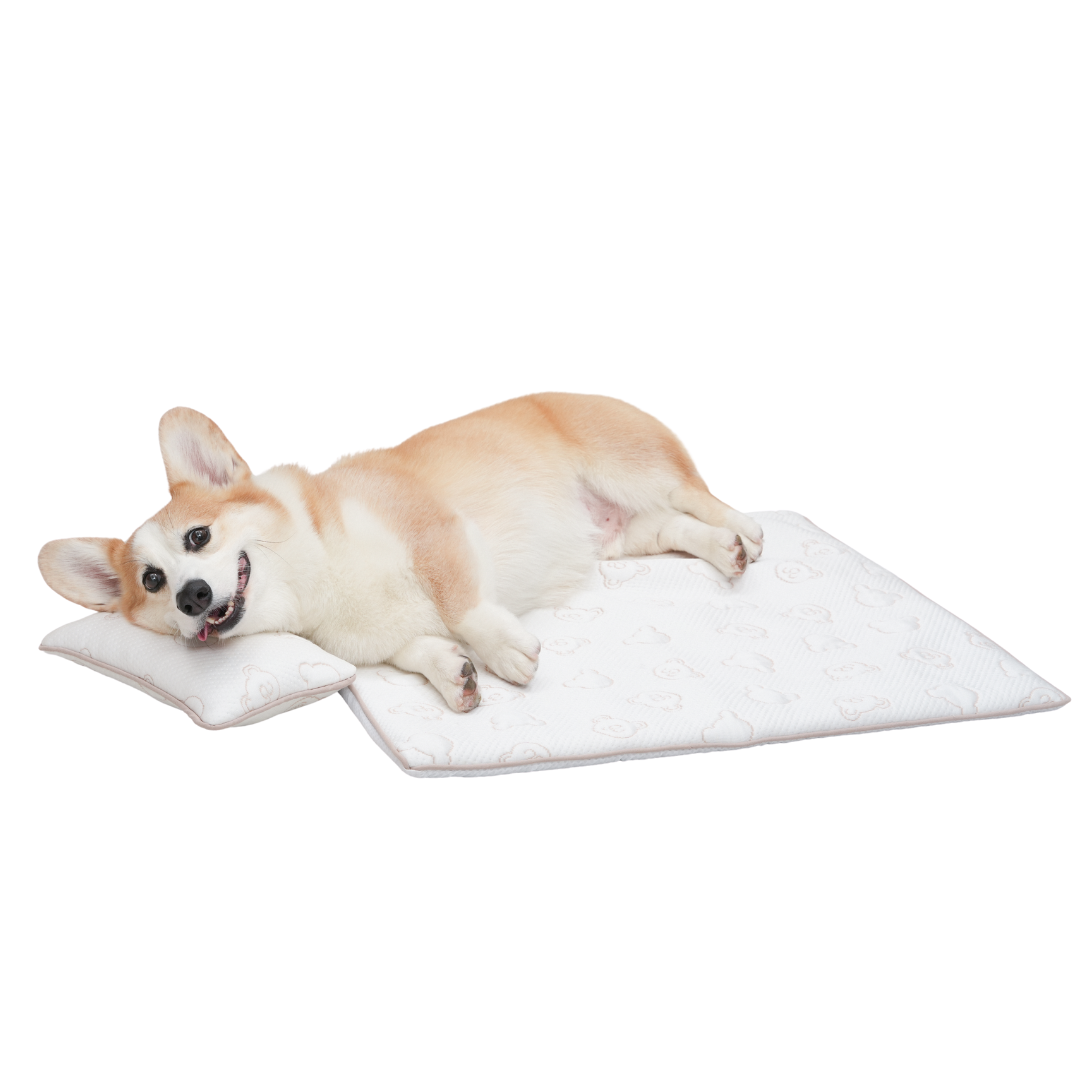 TeddyLand Ultimate cool mattress with pillow